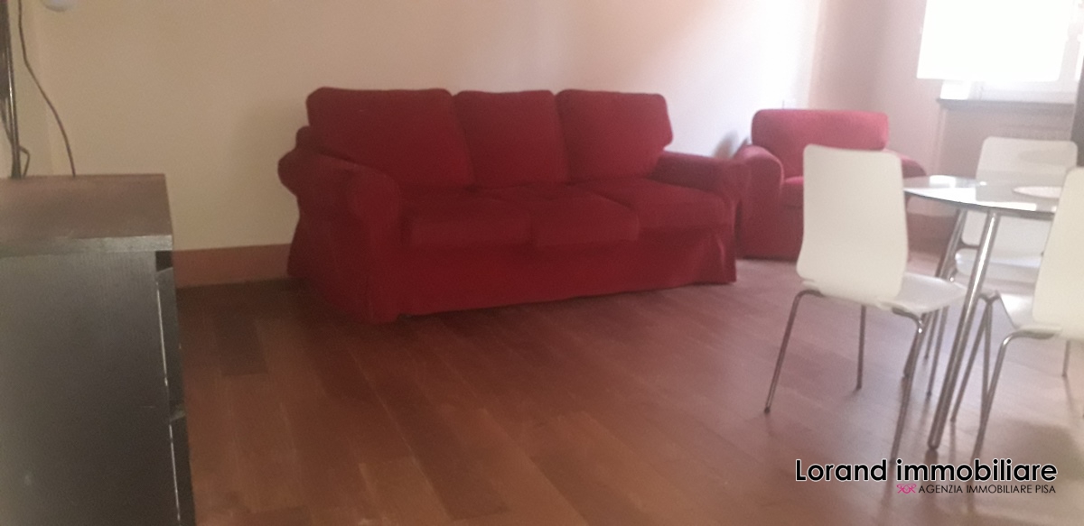 Monolocale in affitto a Pisa