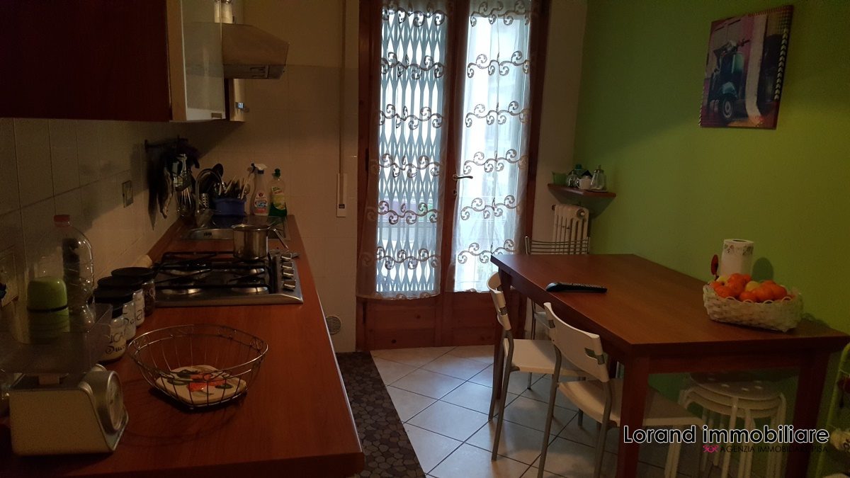 Appartamento in affitto a Pisa