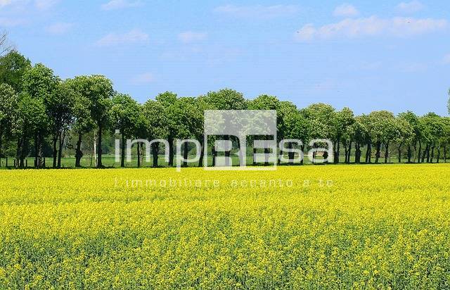 Terreno in vendita, Montebelluna caonada