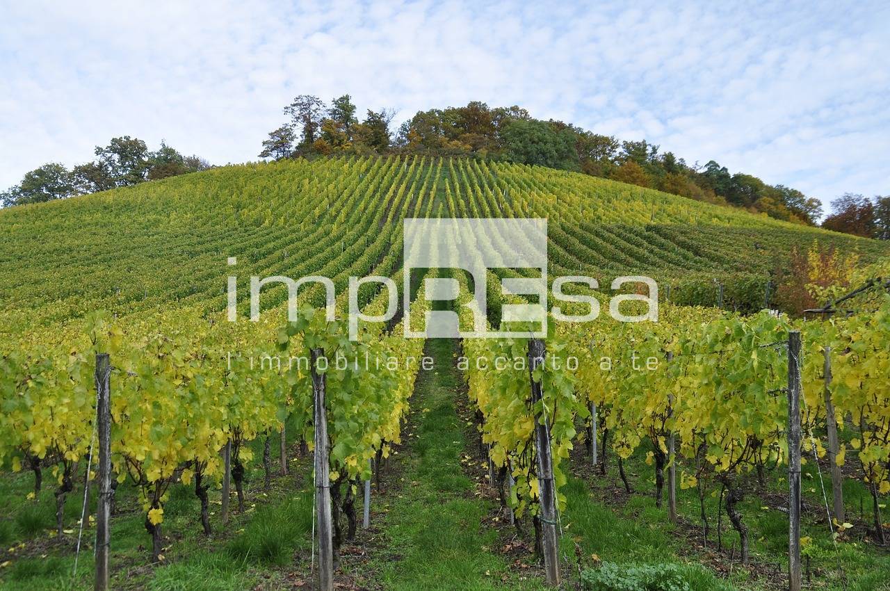 Terreno Agricolo in vendita a Valdobbiadene