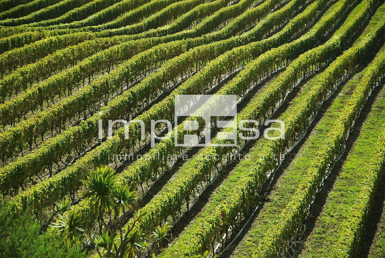 Terreno Agricolo in vendita a Valdobbiadene