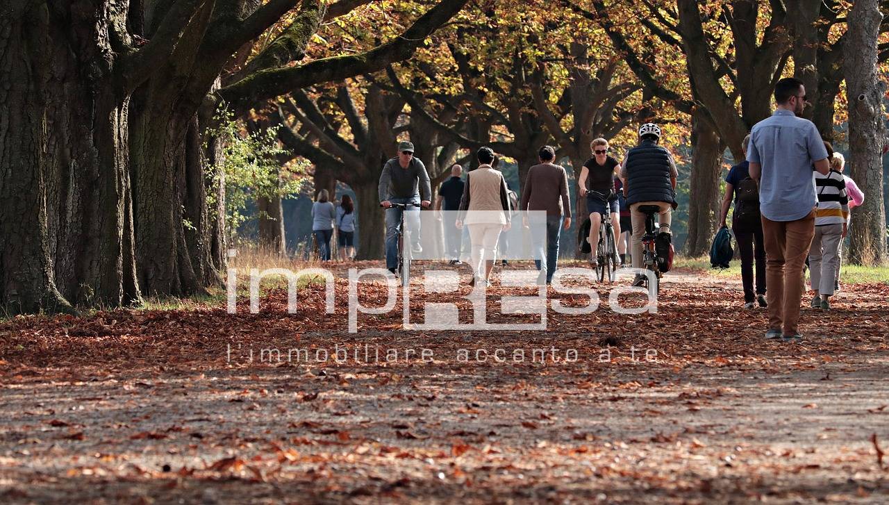 Appartamento in vendita a Montebelluna, La Pieve
