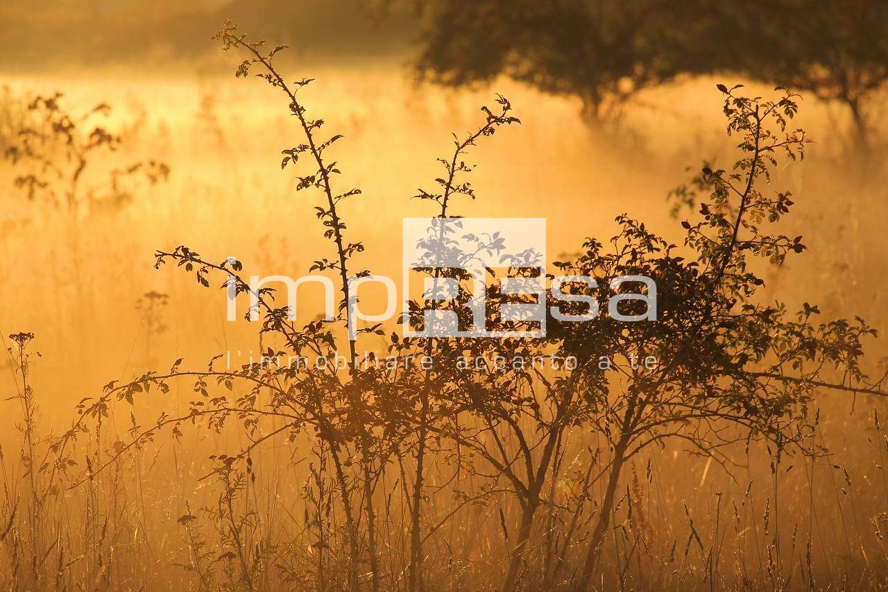 Terreno Agricolo in vendita a Valdobbiadene
