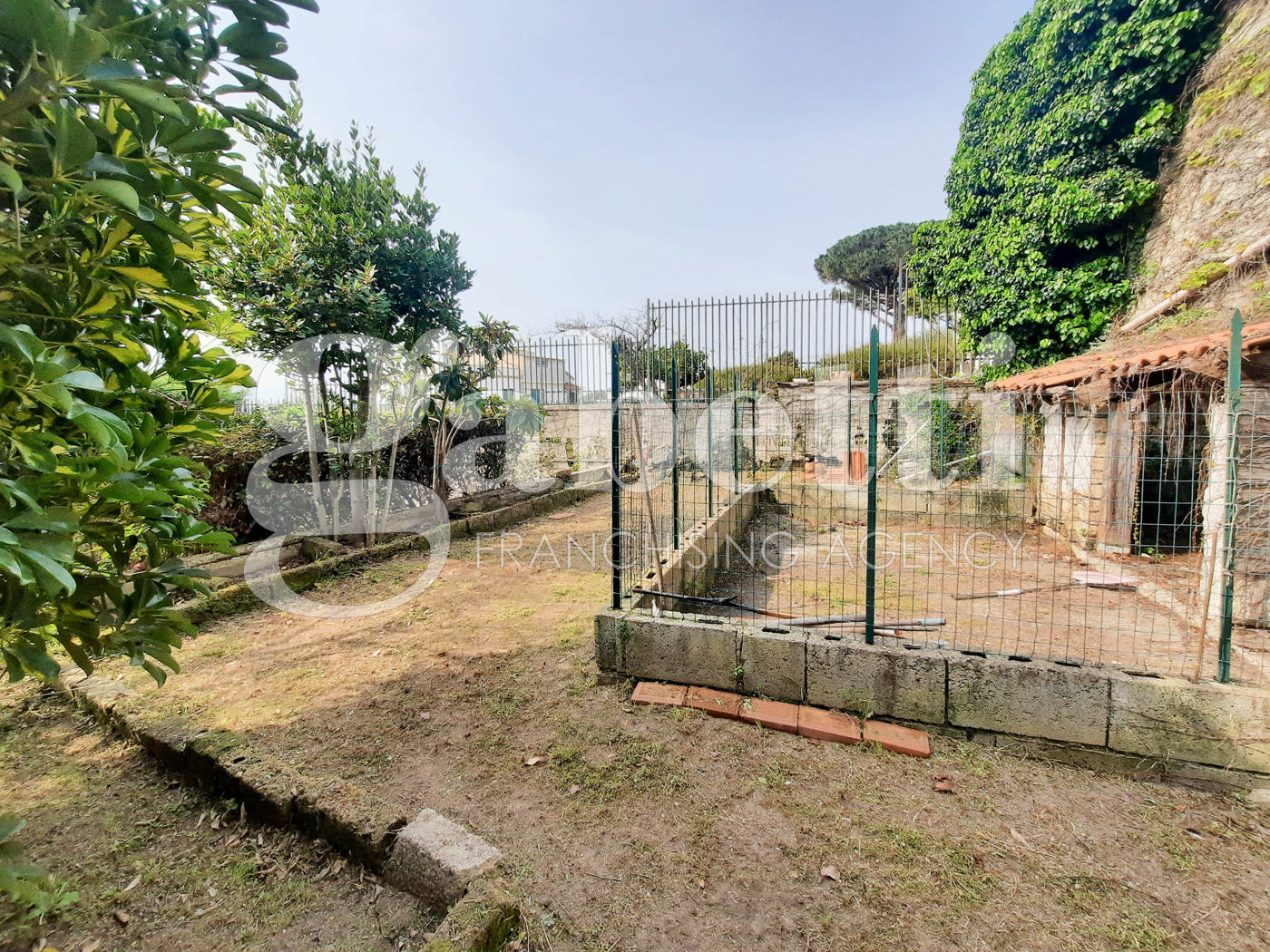 immagine annuncio 8 di 10