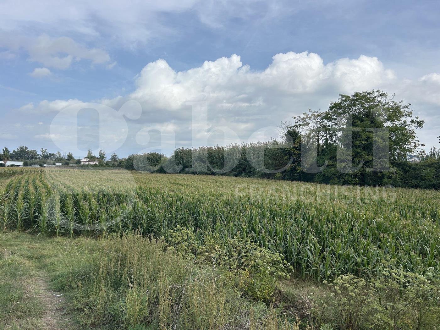 Terreno Agricolo in vendita a Pozzuoli