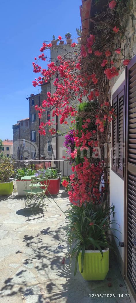 Casa indipendente con giardino a Cipressa