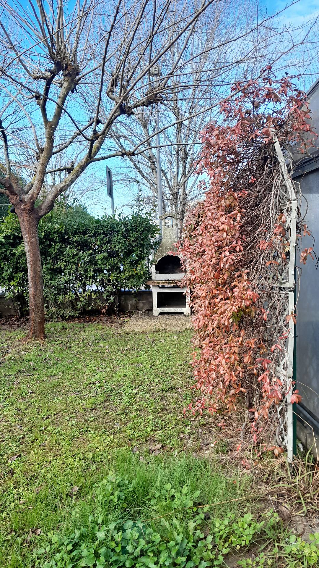 Quadrilocale arredato in affitto a Pisa