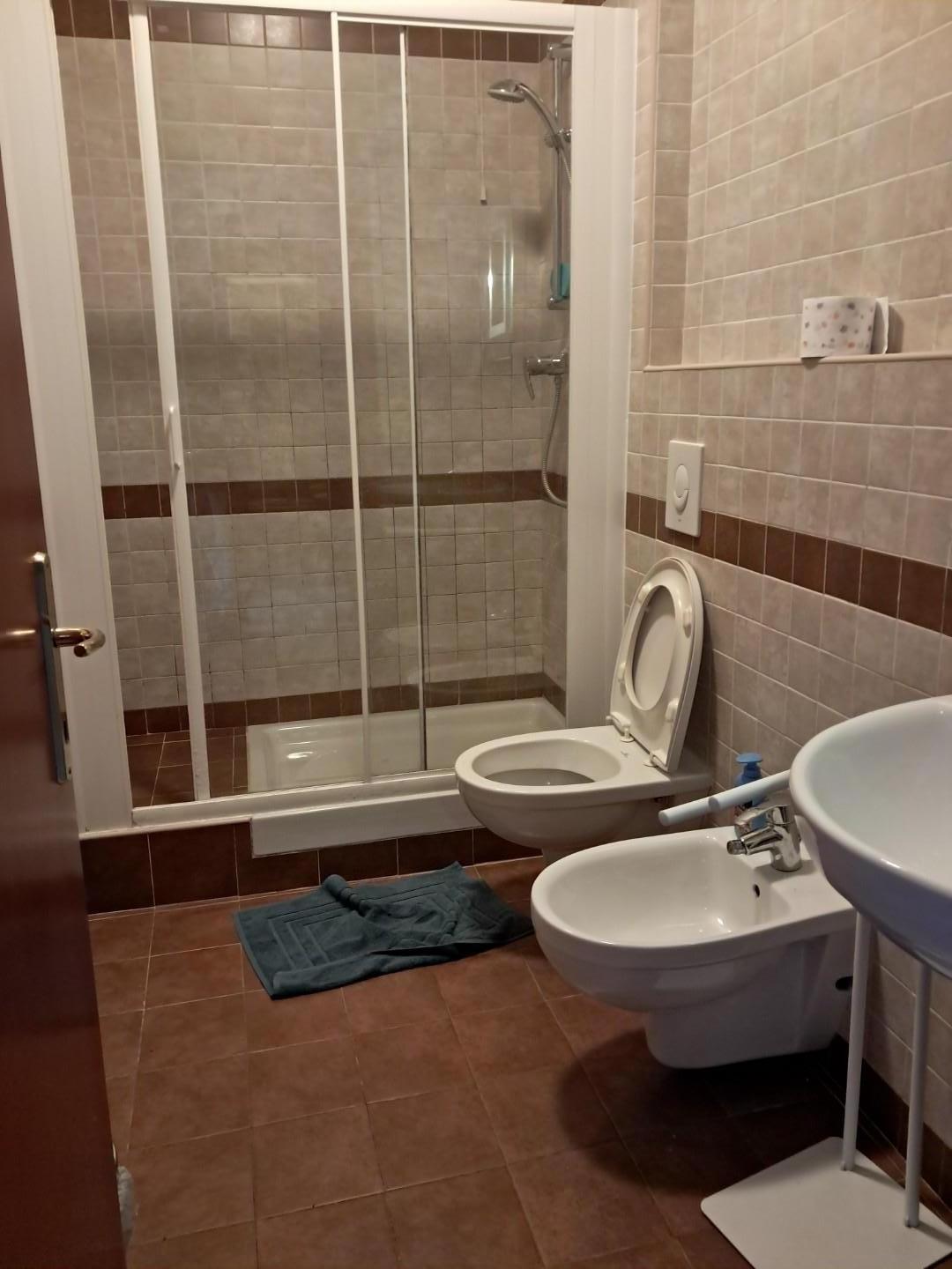Bilocale arredato in affitto, Pisa marina di