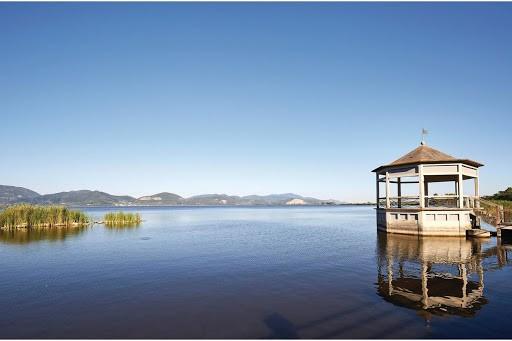 Terreno Agricolo in vendita, Viareggio torre del lago puccini