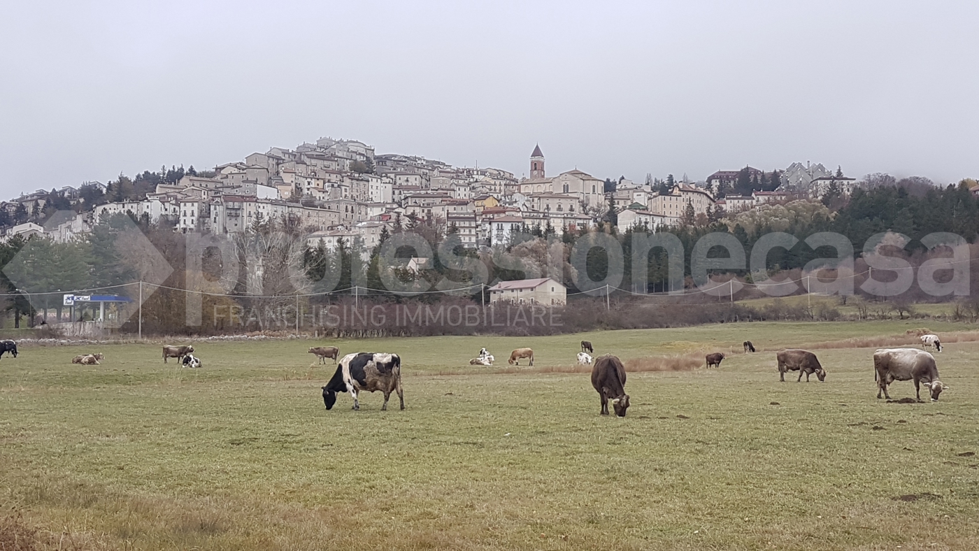 Bilocale in vendita a Rivisondoli