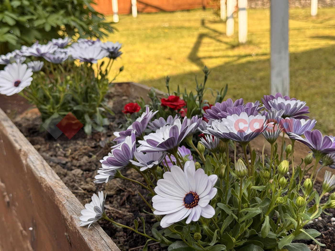 Attivit� commerciale Albergo in vendita a Castel del Giudice