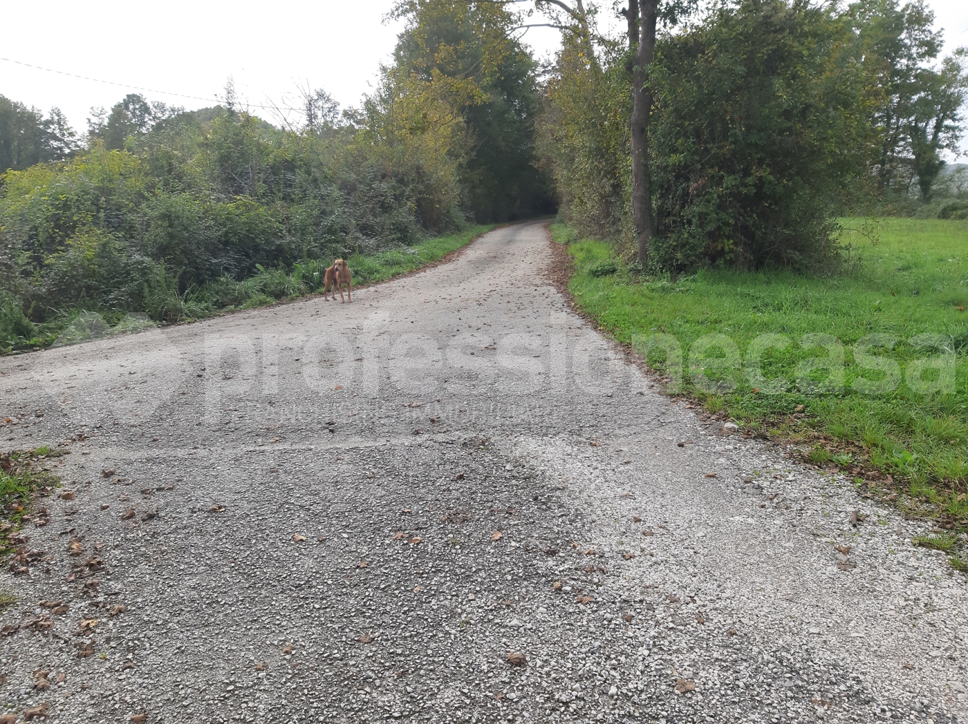 Rustico con giardino a San Pietro Avellana