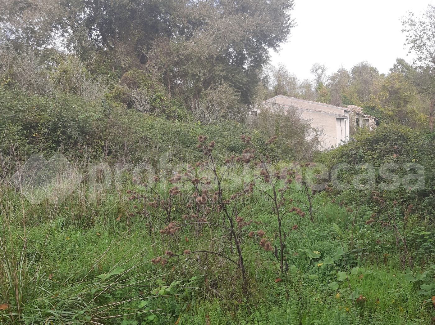 Rustico con giardino a San Pietro Avellana