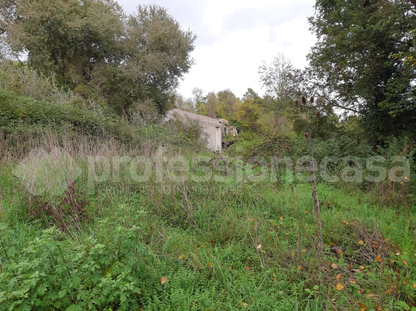 Rustico con giardino a San Pietro Avellana
