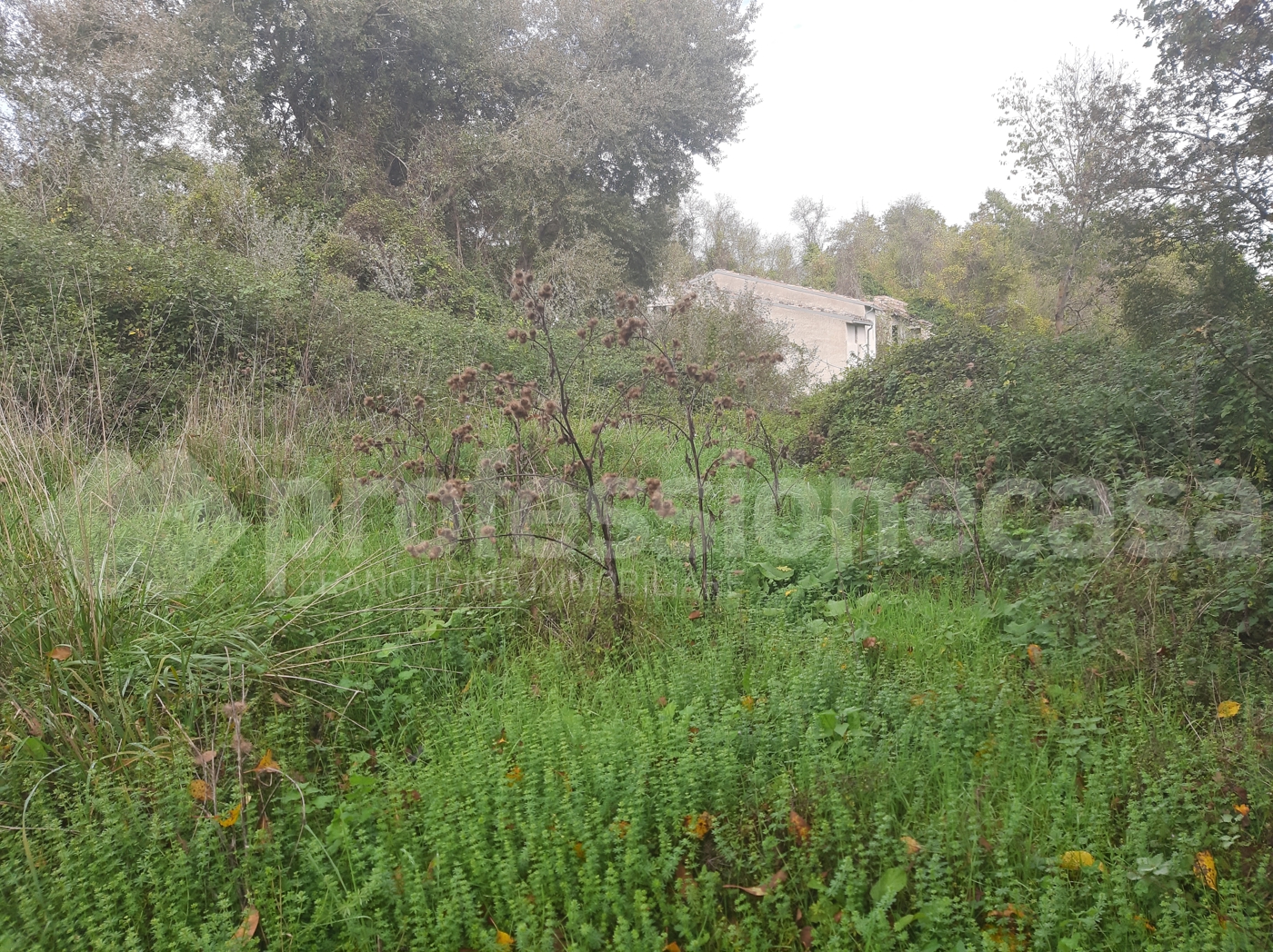 Rustico con giardino a San Pietro Avellana