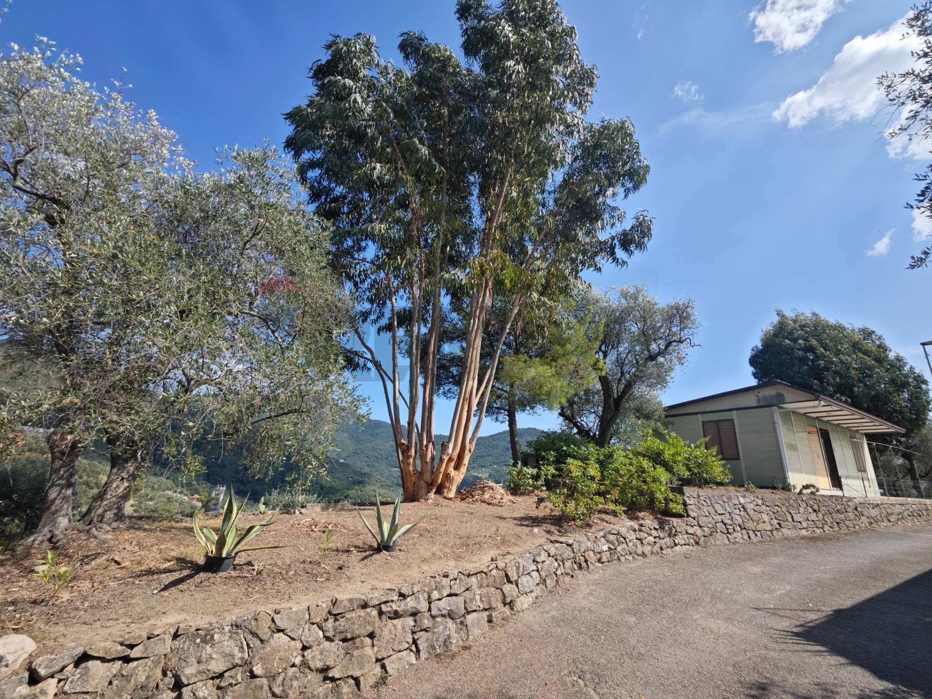 Villa o villino in vendita a Perinaldo