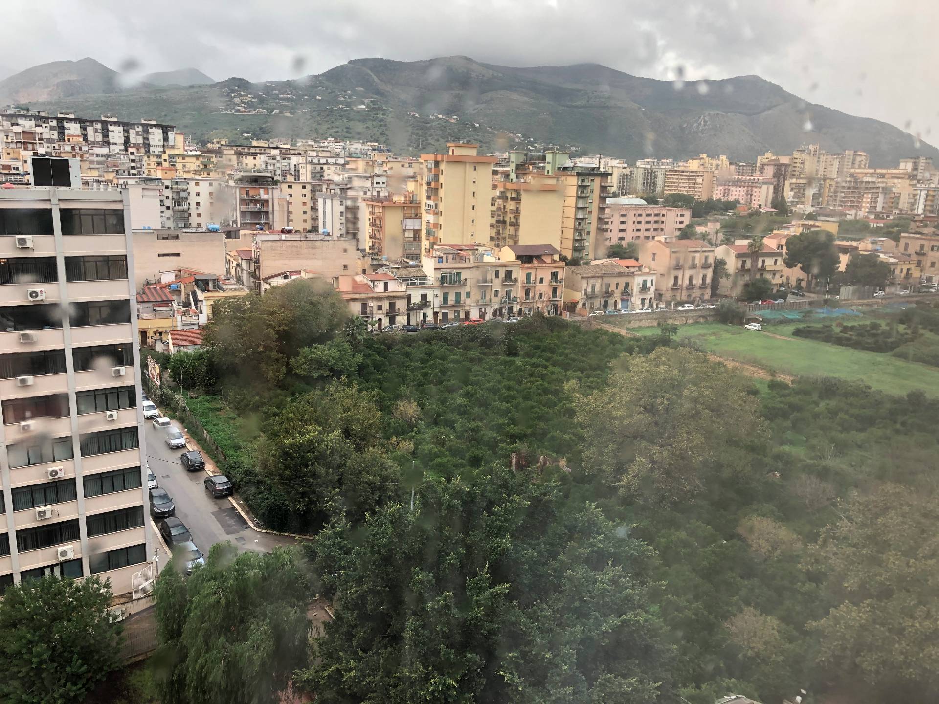 immagine annuncio 5 di 6