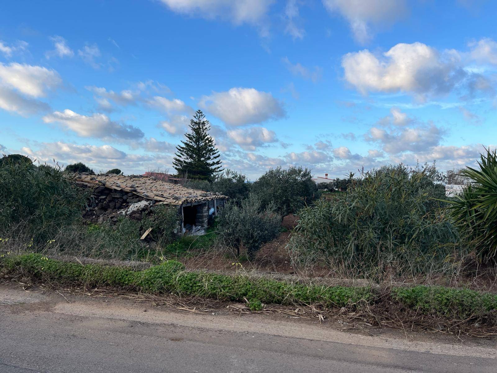 Terreno edificabile in vendita a Ustica