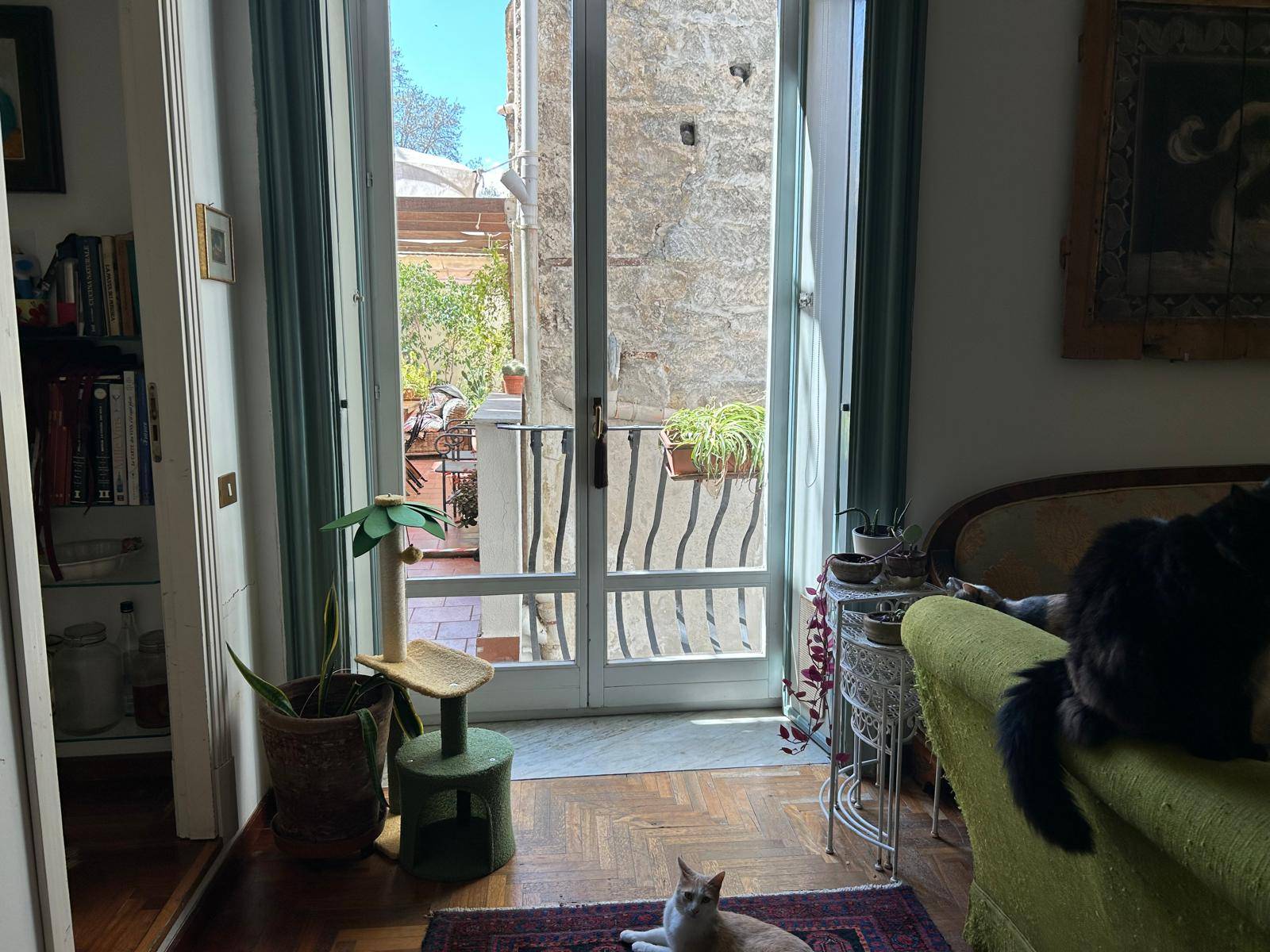 Appartamento in affitto a Palermo, Centro storico