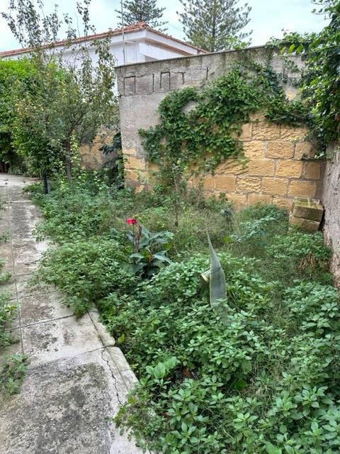 Villa in affitto a Palermo, Mondello