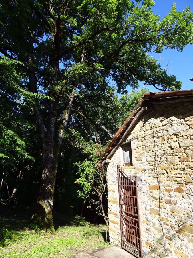 Rustico da ristrutturare a Montese