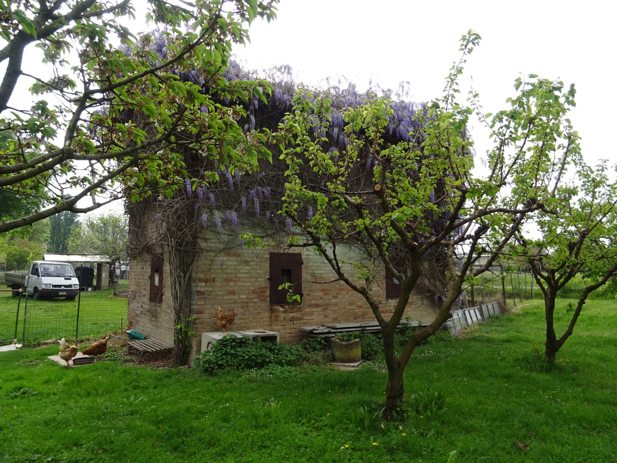 Rustico da ristrutturare a Spilamberto