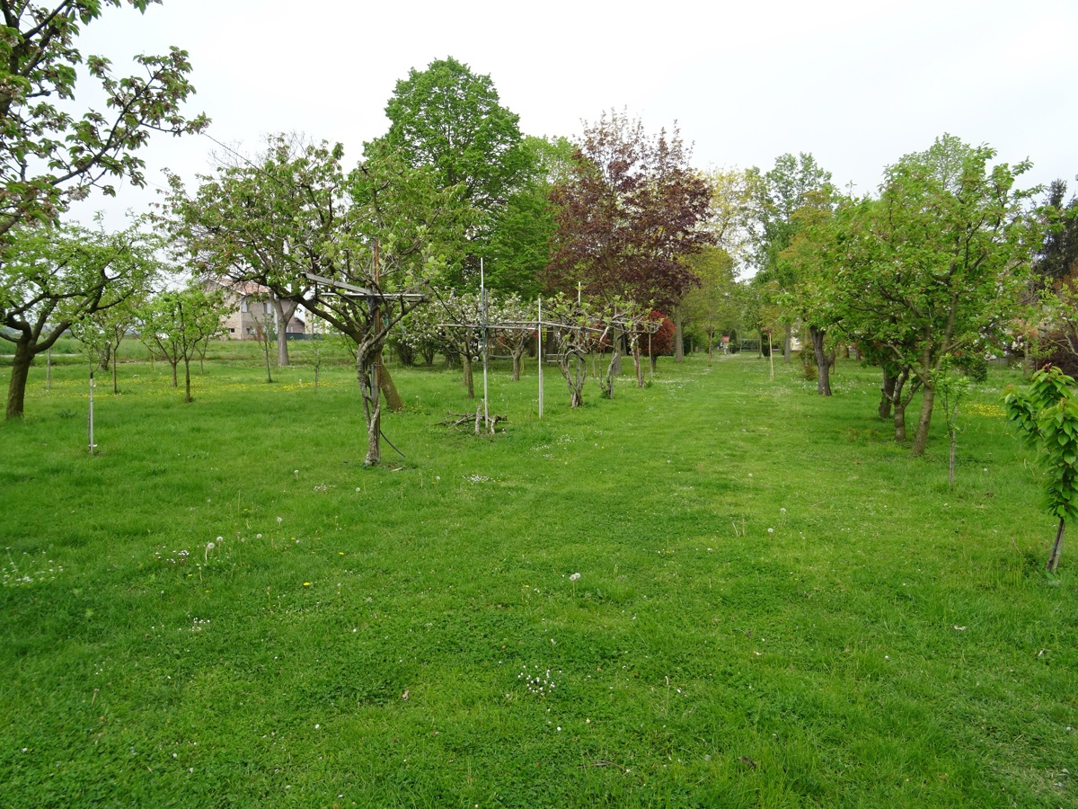 Rustico da ristrutturare a Spilamberto