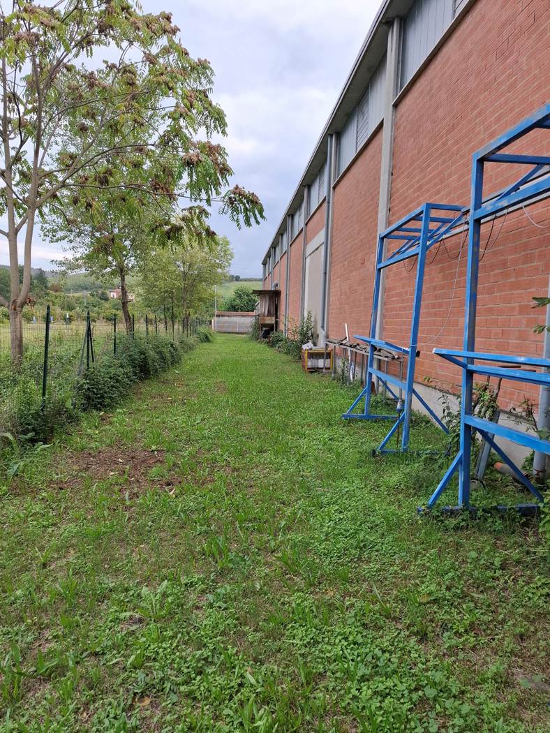 Capannone in vendita a Savignano sul Panaro