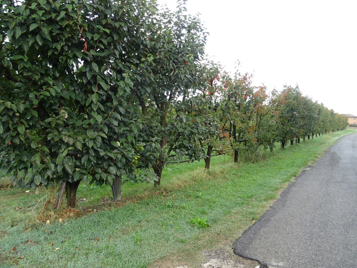 Capannone in vendita a Savignano sul Panaro