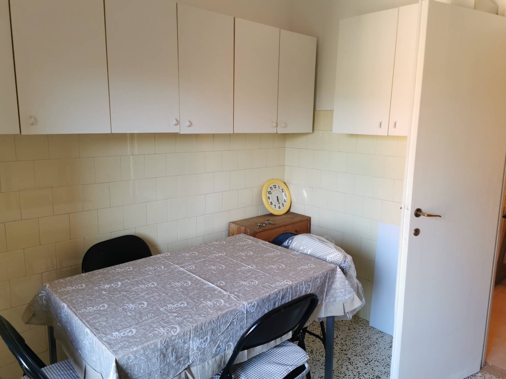 Appartamento in affitto a Bologna