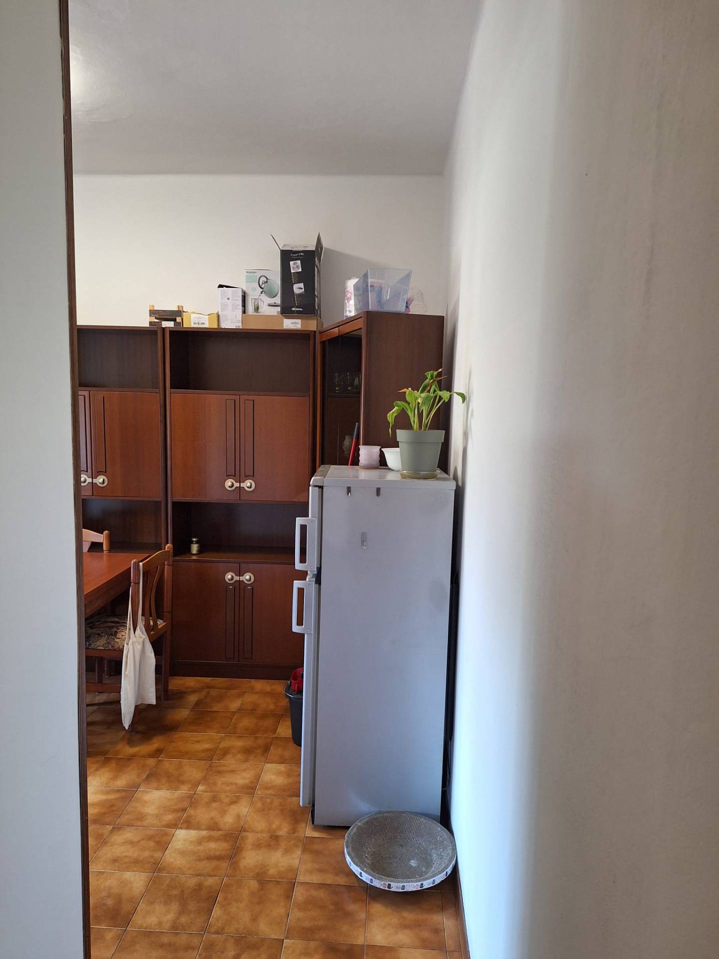 Appartamento in affitto a Bologna, San Donato