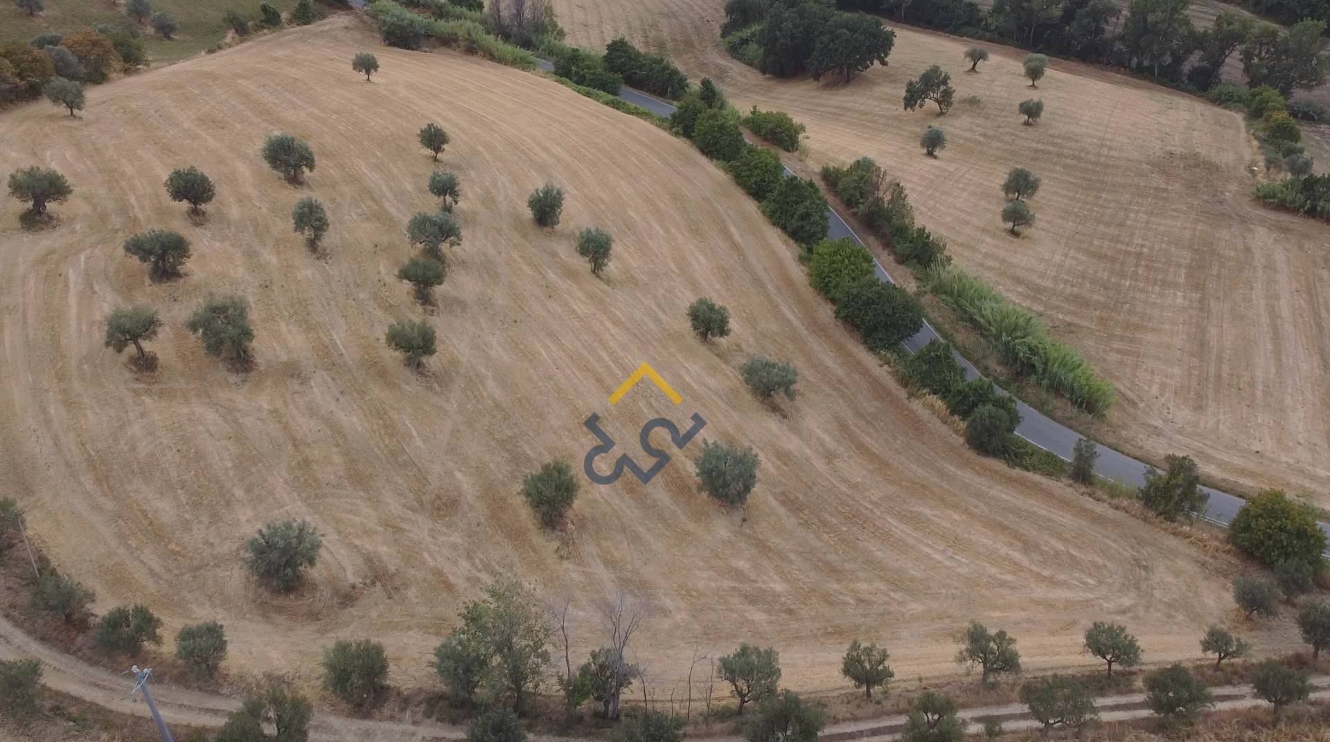 Terreno Agricolo in vendita a Massignano