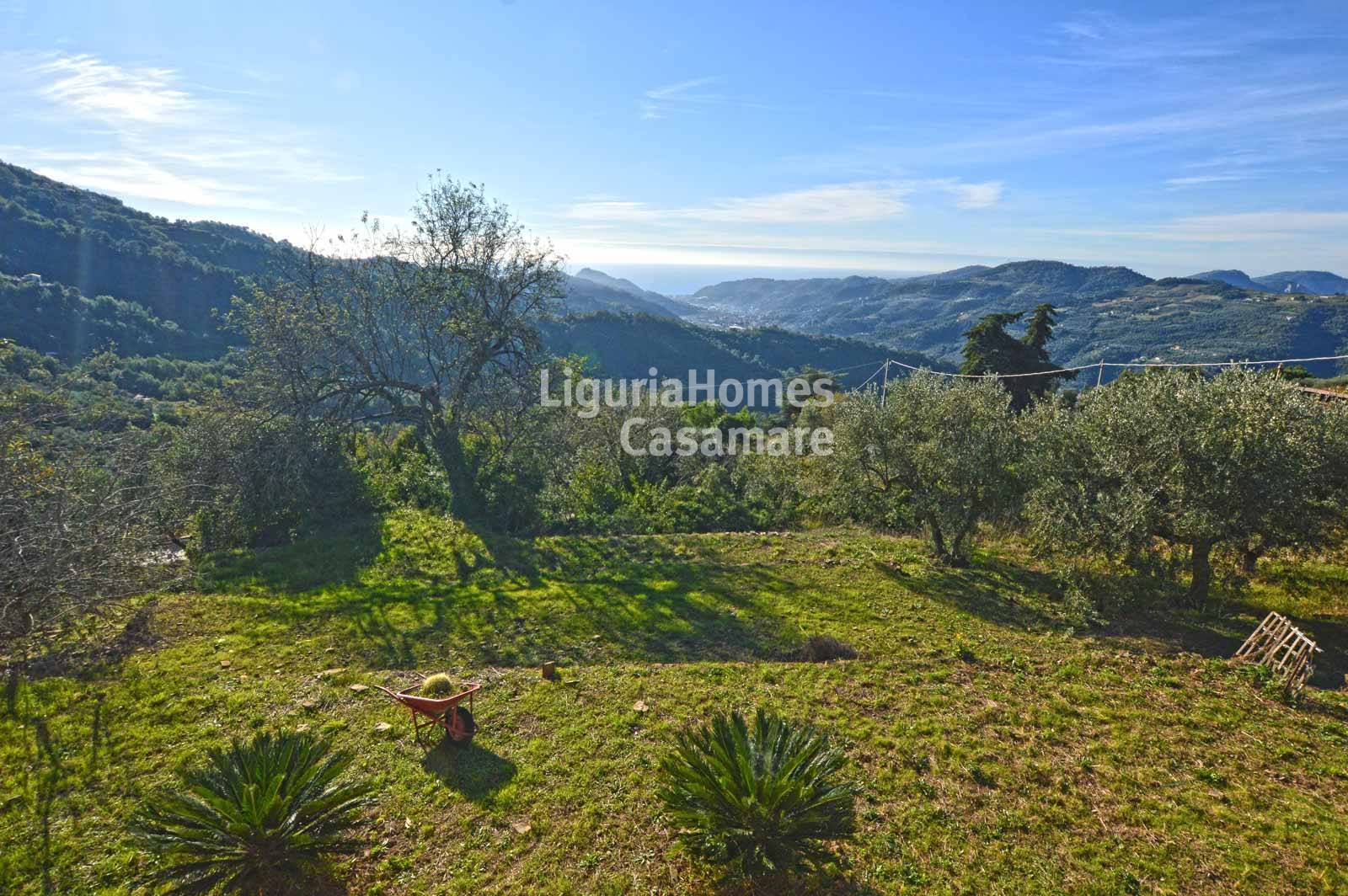immagine annuncio 2 di 6