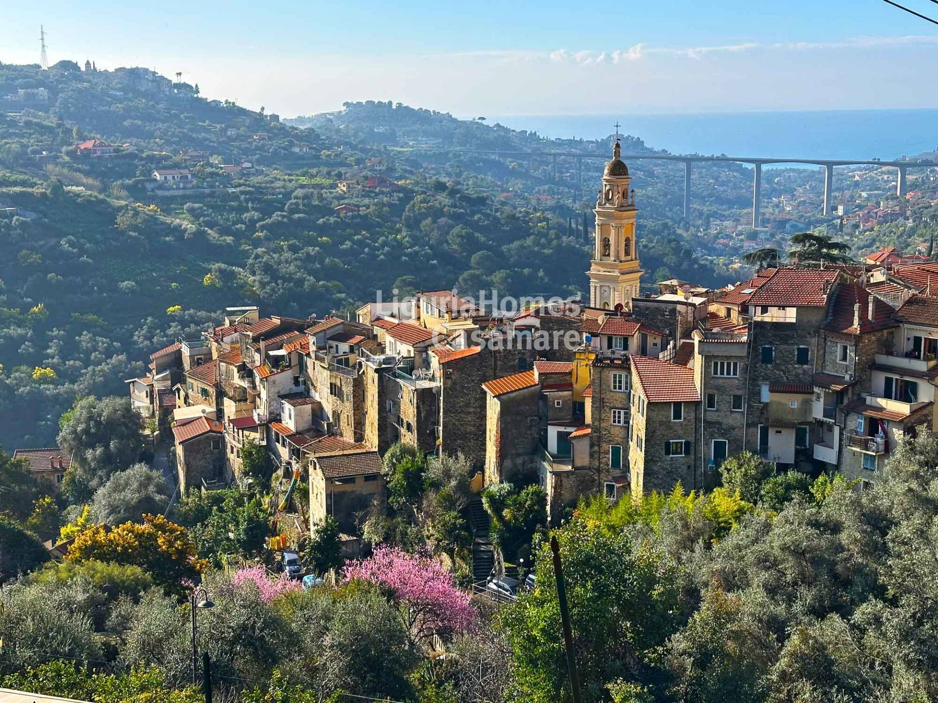 Casa di paese in vendita a Vallebona