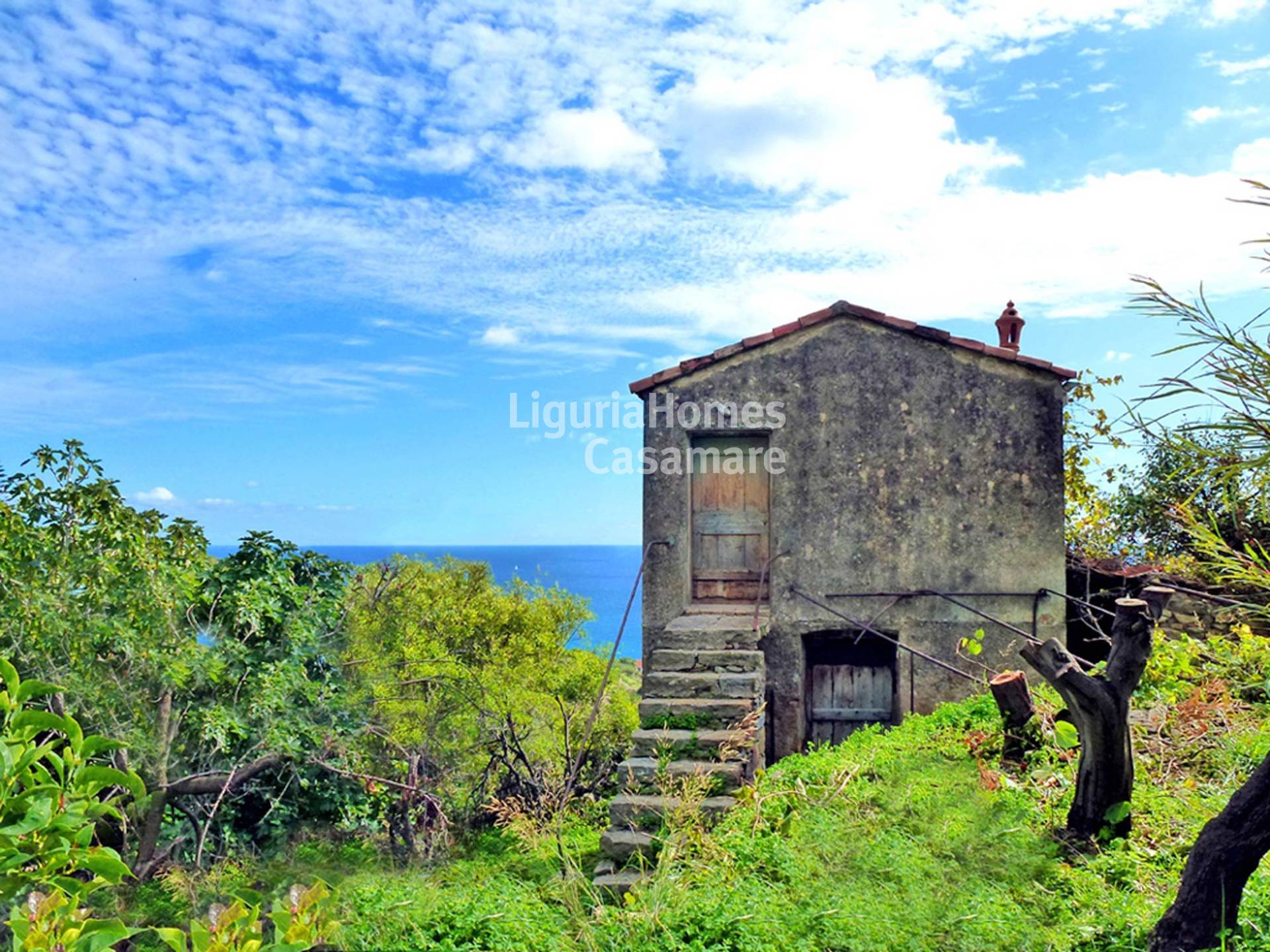 Villa in vendita a Bordighera