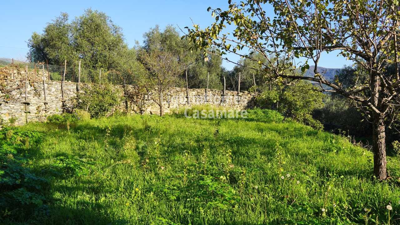 Casa di paese in vendita a Dolcedo