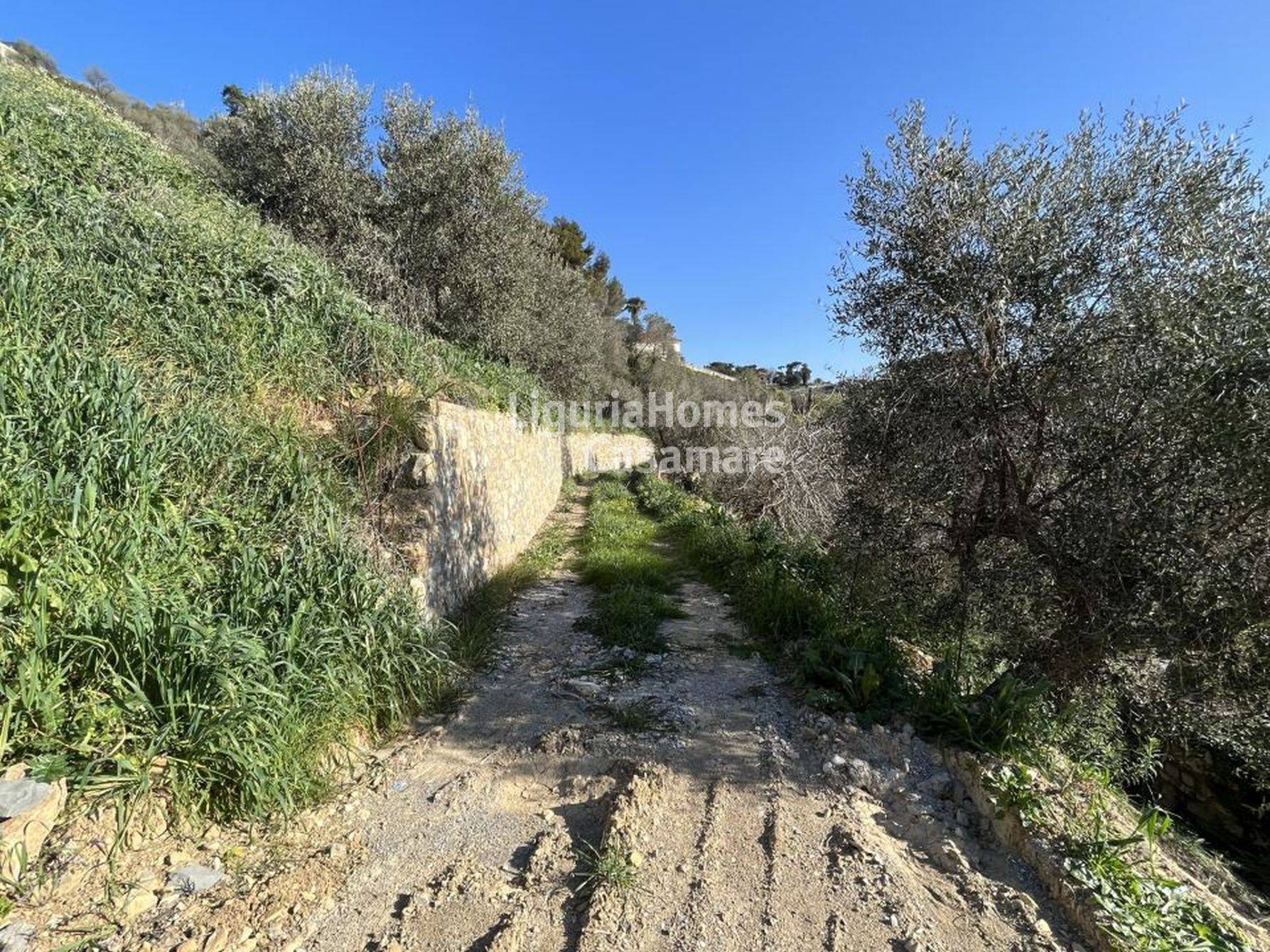 Villa in vendita a Imperia