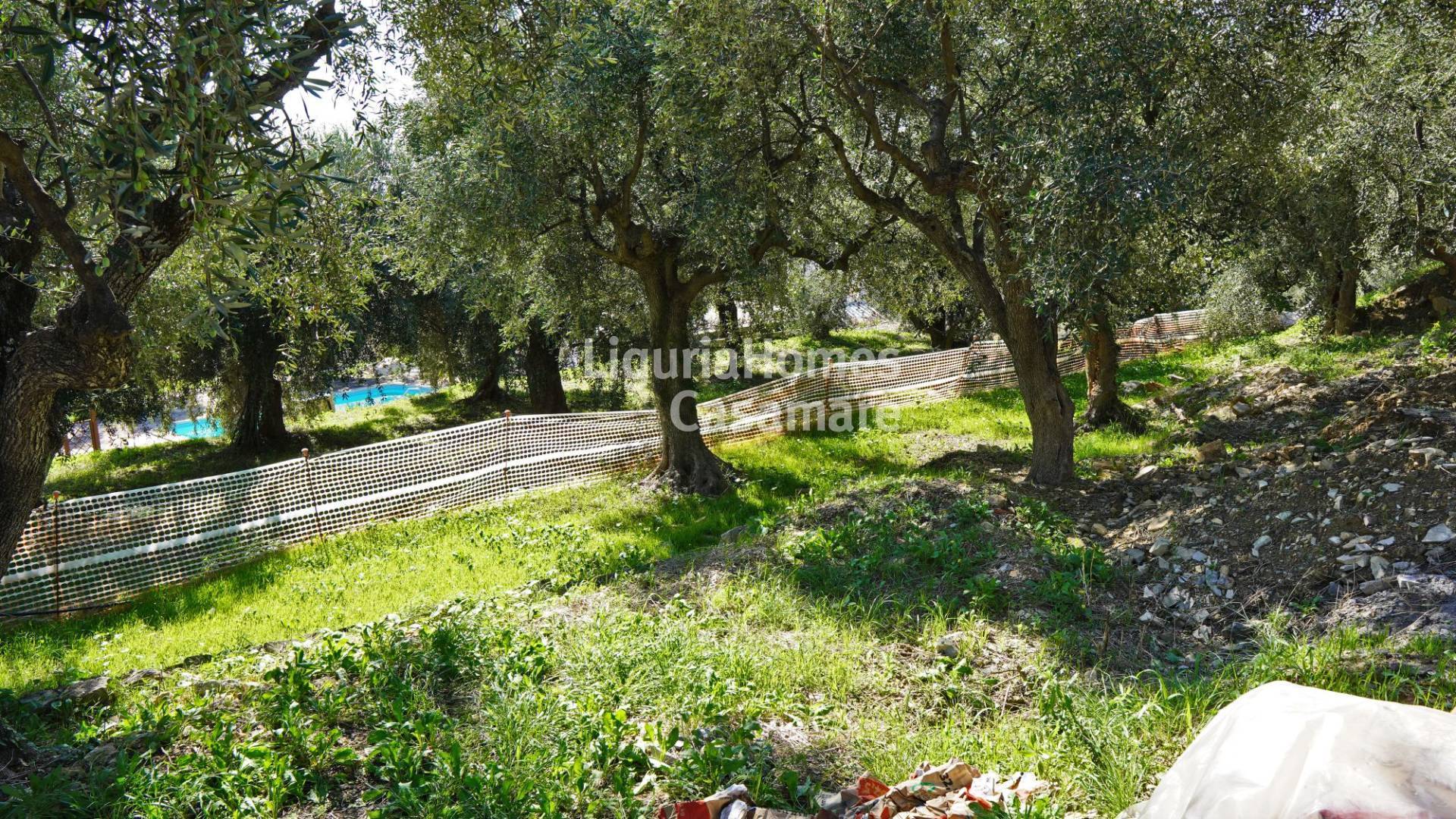 Terreno in vendita a Imperia