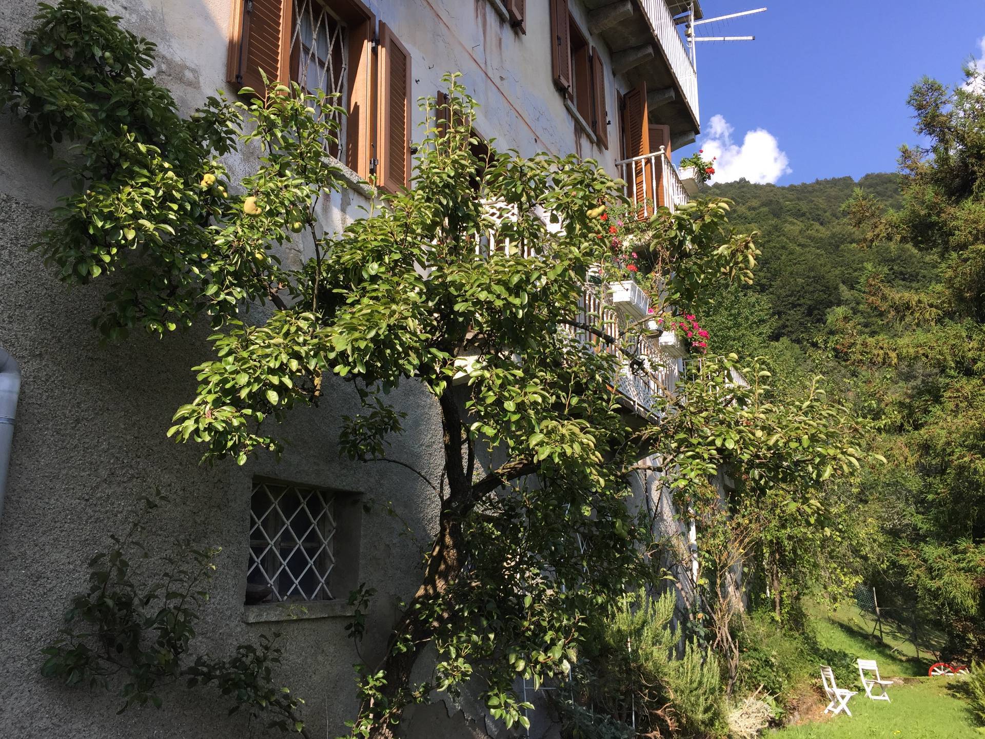 Villa in vendita a Fobello