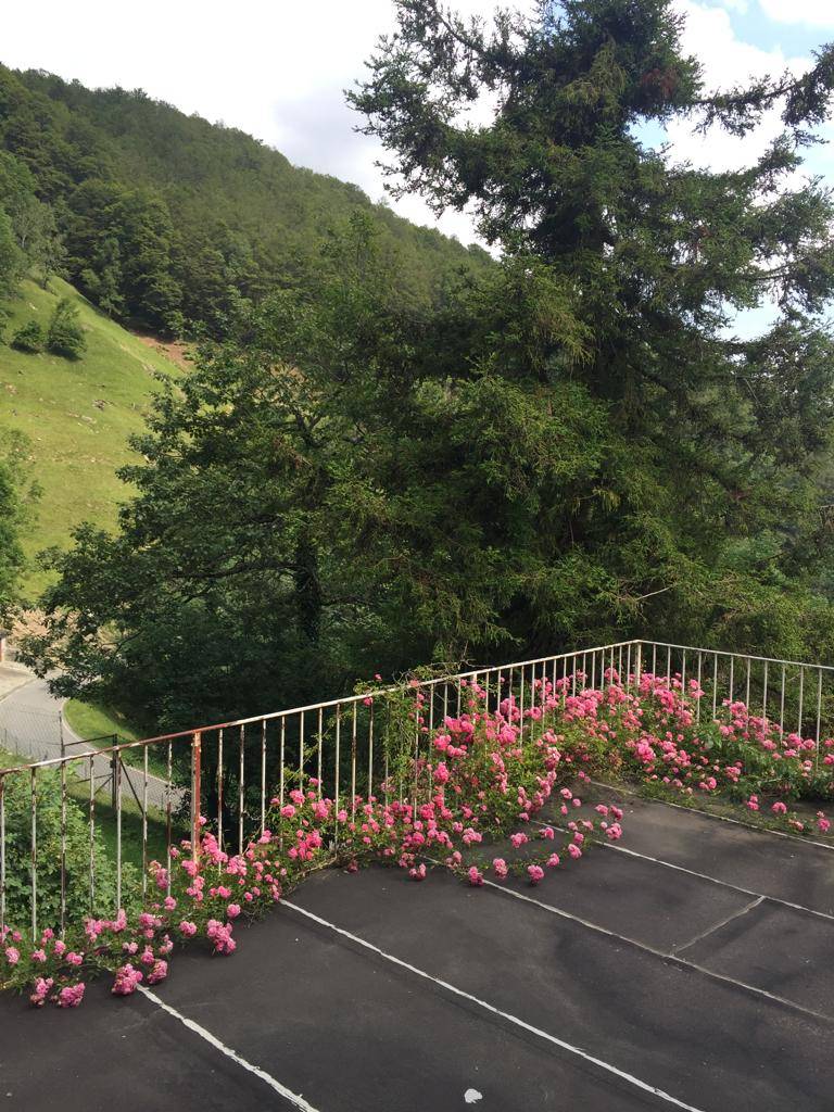 Villa in vendita a Fobello