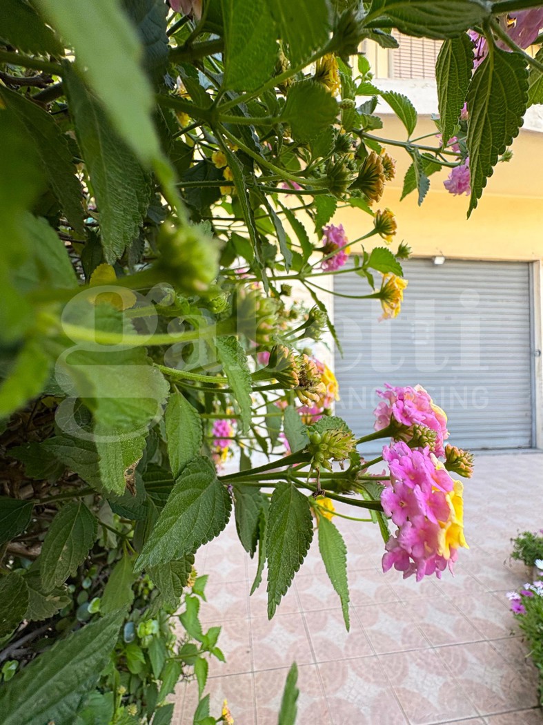 Negozio in affitto a Cagliari
