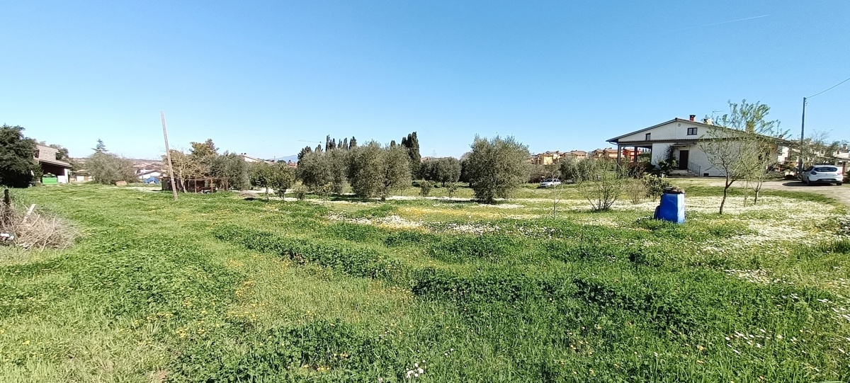 Terreno Agricolo in vendita a Vasanello