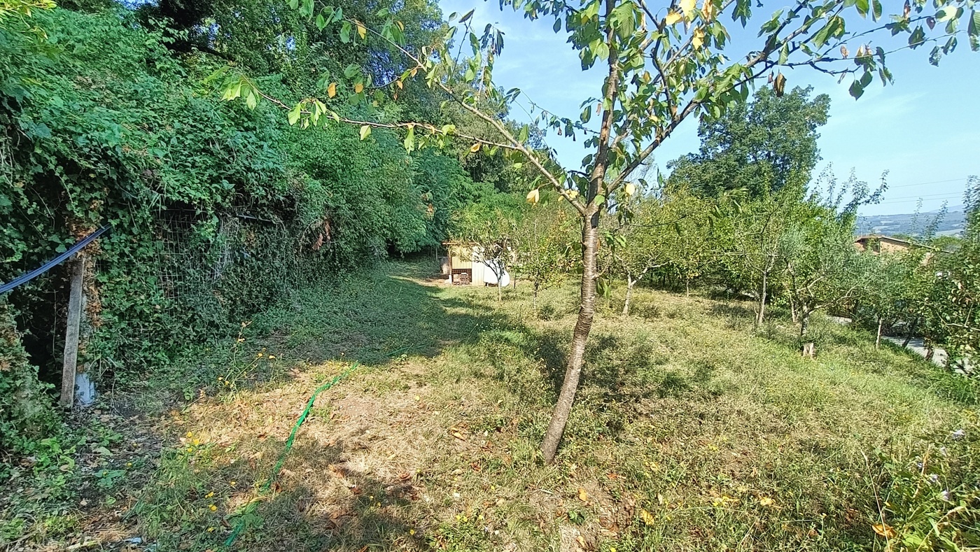 Terreno Agricolo in vendita a Orte