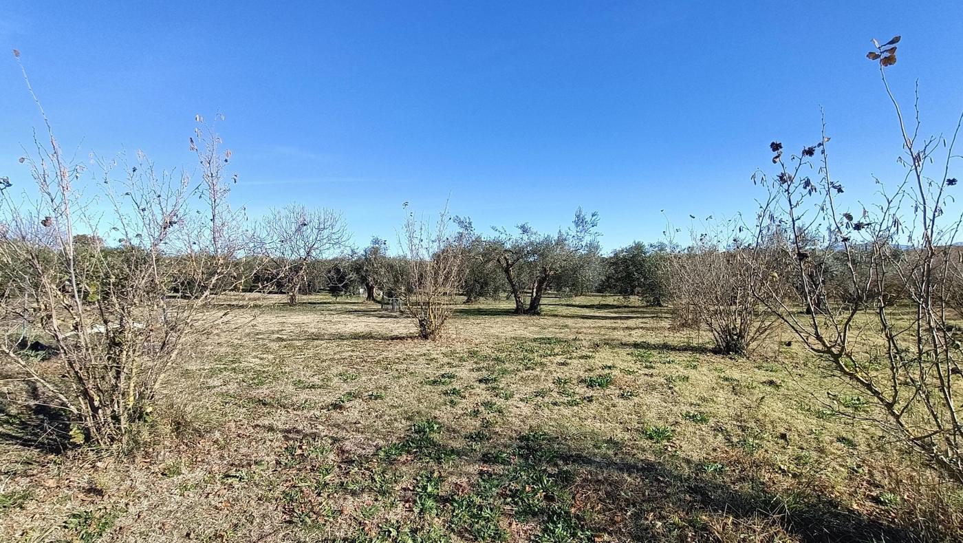 Terreno Agricolo in vendita a Vasanello
