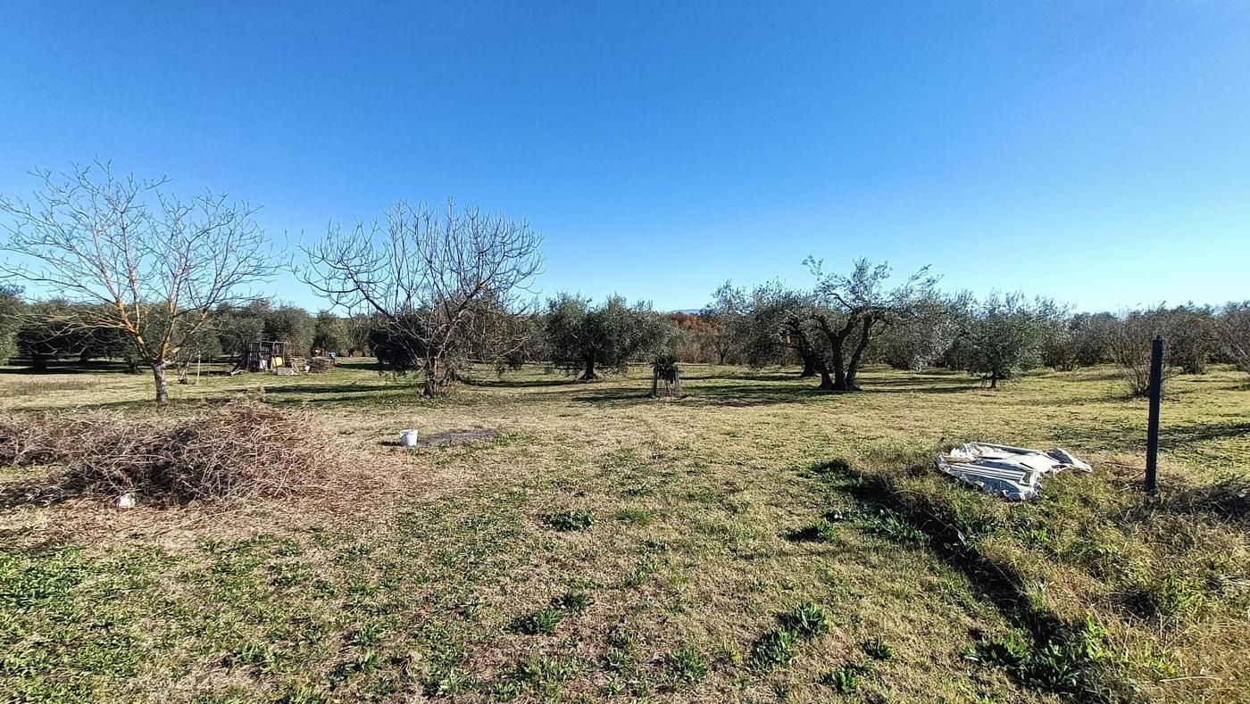 Terreno Agricolo in vendita a Vasanello