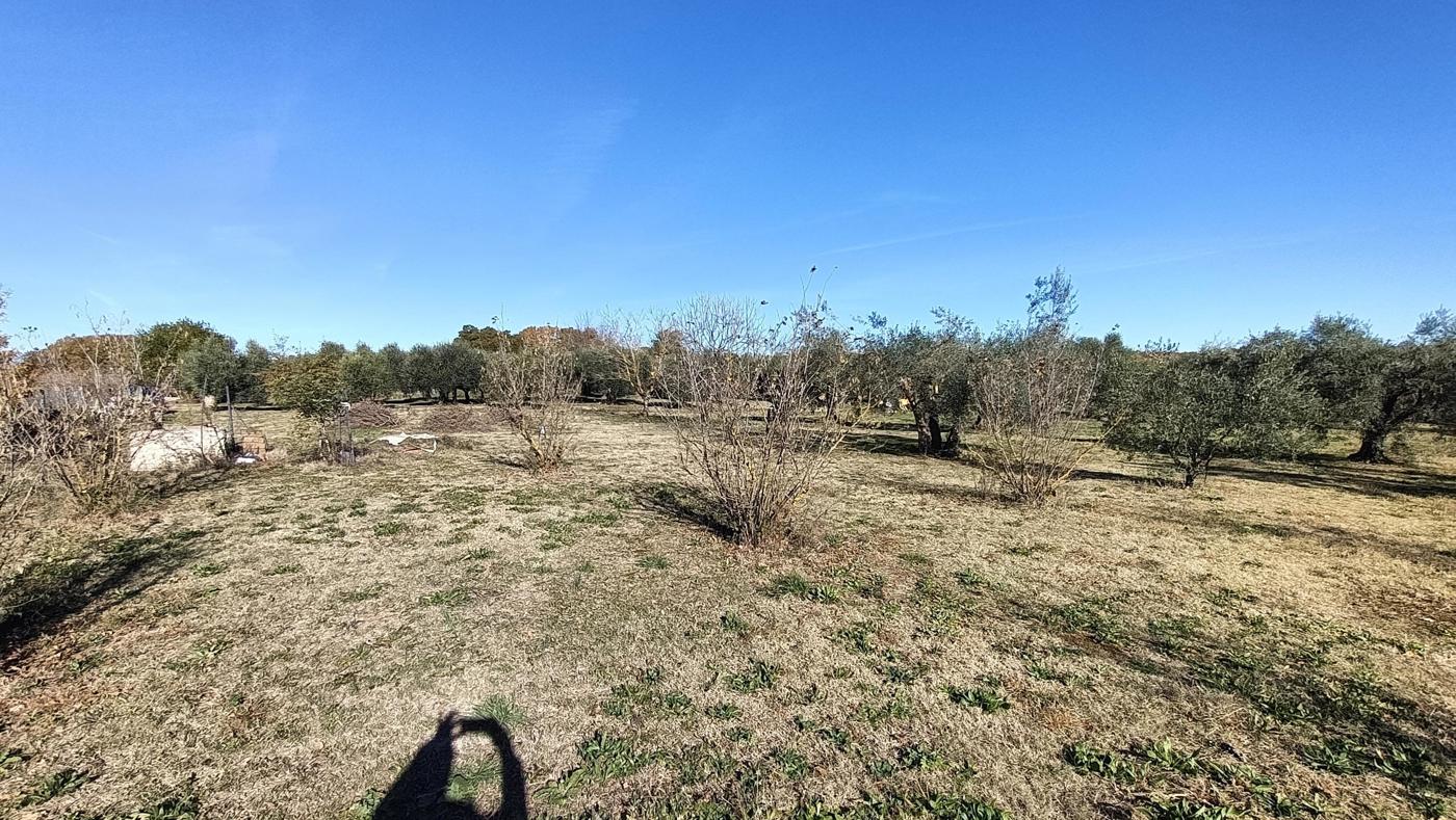 Terreno Agricolo in vendita a Vasanello