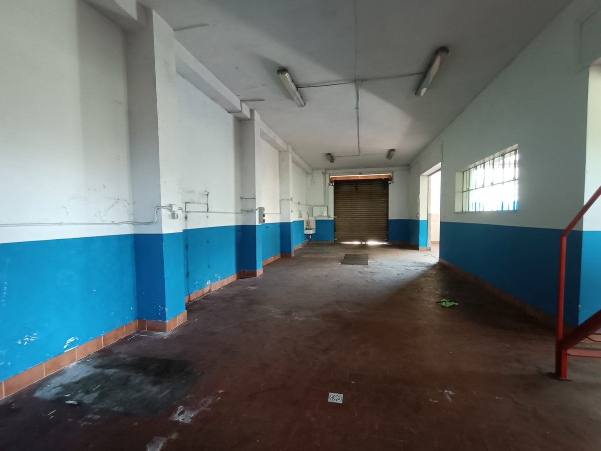 Capannone in affitto a Amelia