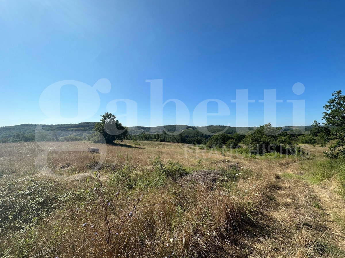 Terreno Edificabile in vendita a Orte