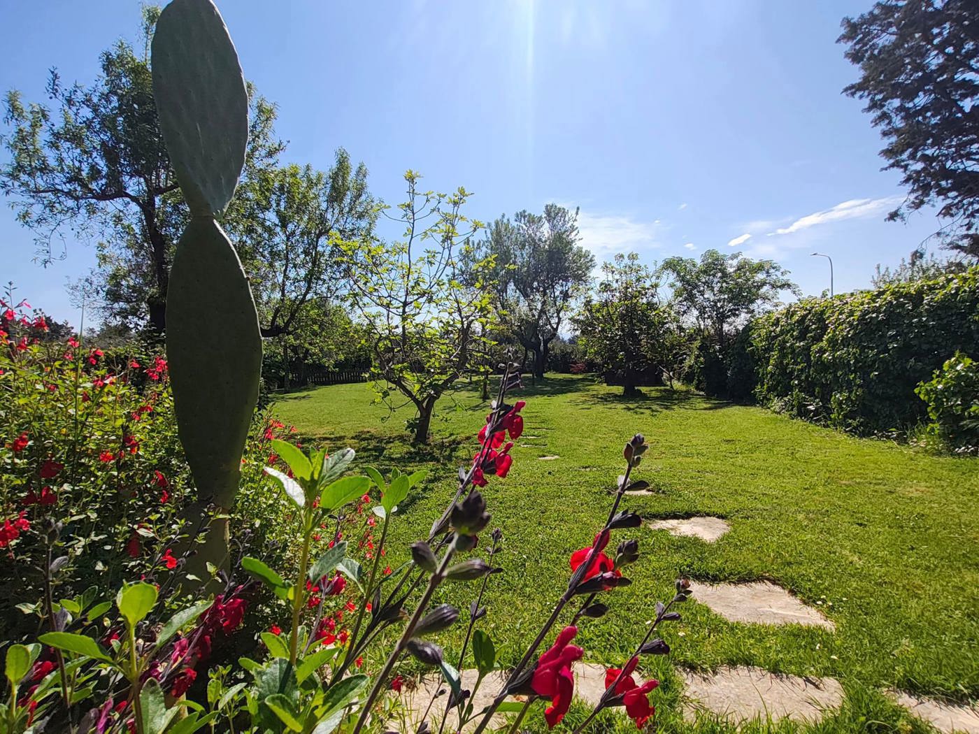 Villa con giardino a Amelia