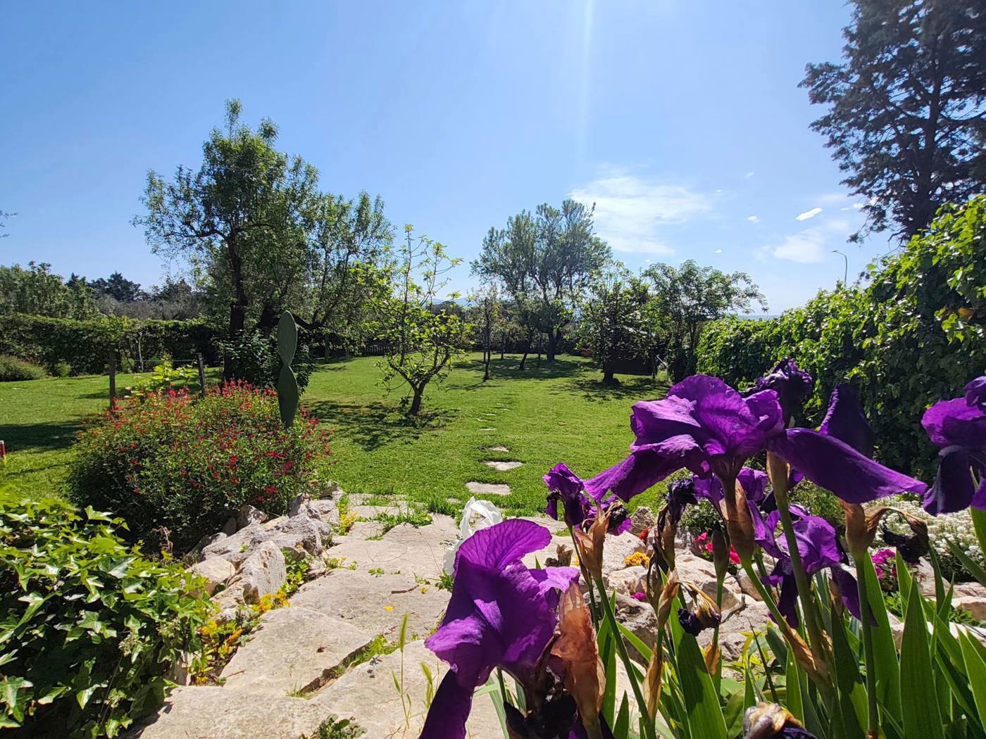 Villa con giardino a Amelia
